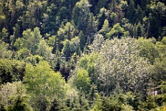 4L4C1740