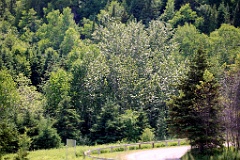 4L4C1743