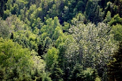4L4C1744