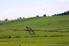 4L4C1746