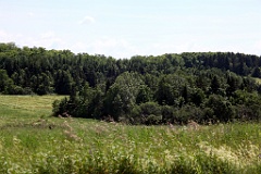 IMG_1674