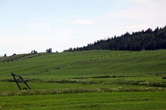 IMG_1683