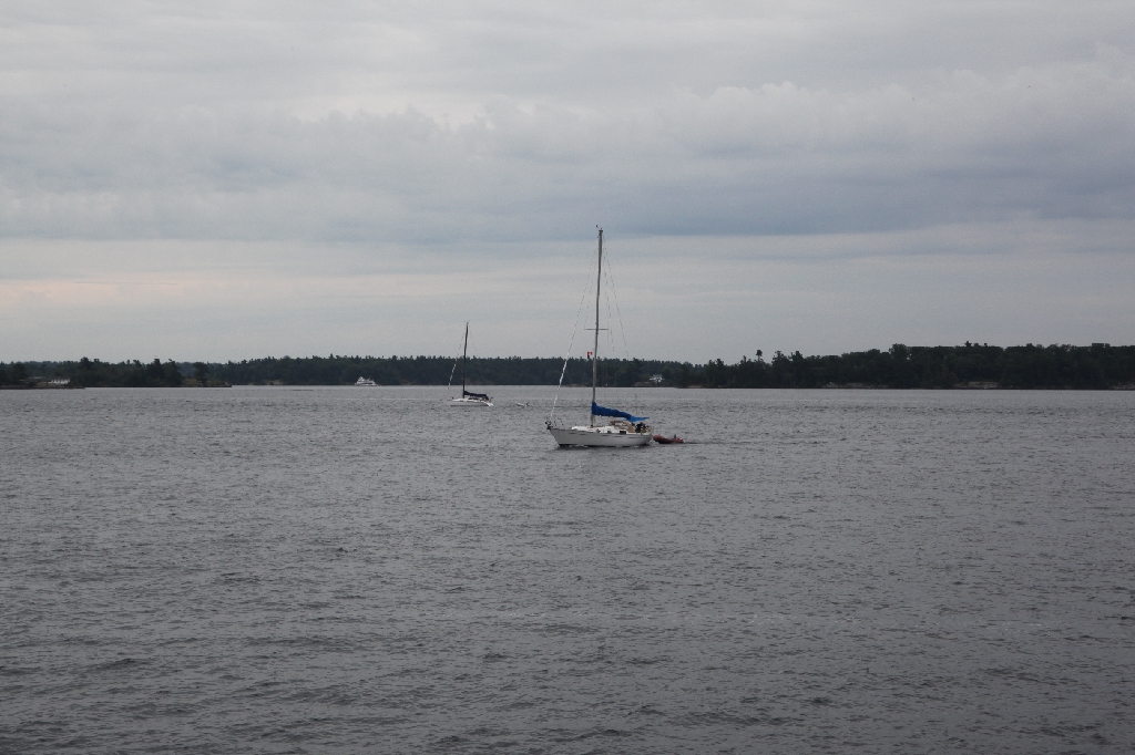 C5D_099684.JPG