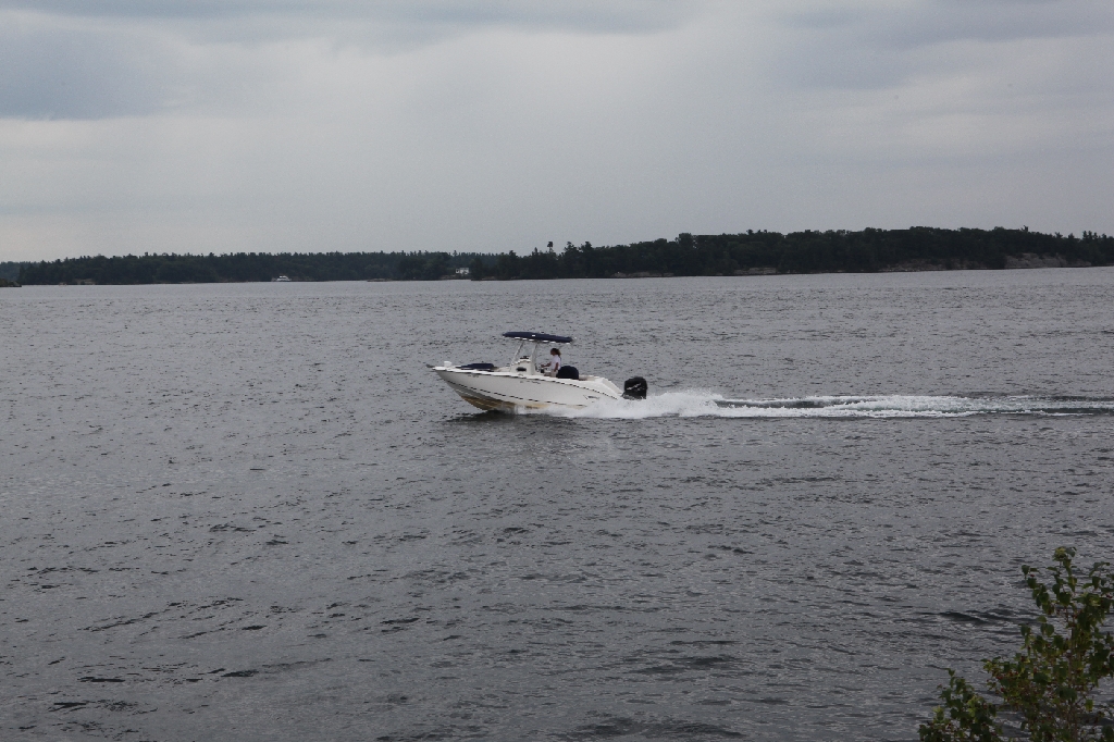 C5D_099687.JPG