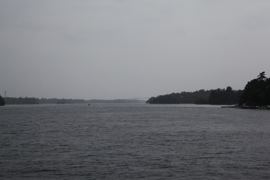 C5D_099704.JPG