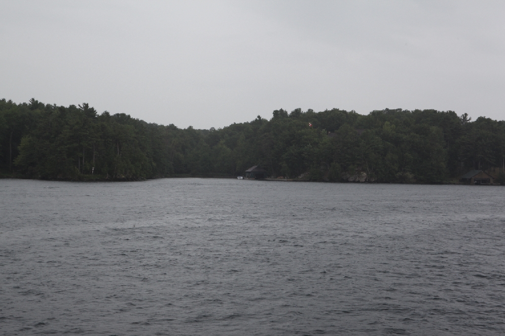 C5D_099705.JPG