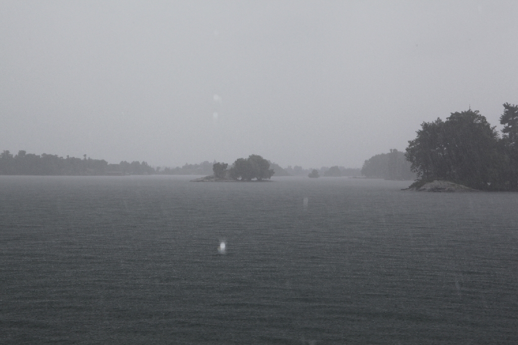 C5D_099721.JPG
