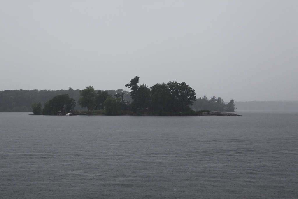 C5D_099725.JPG
