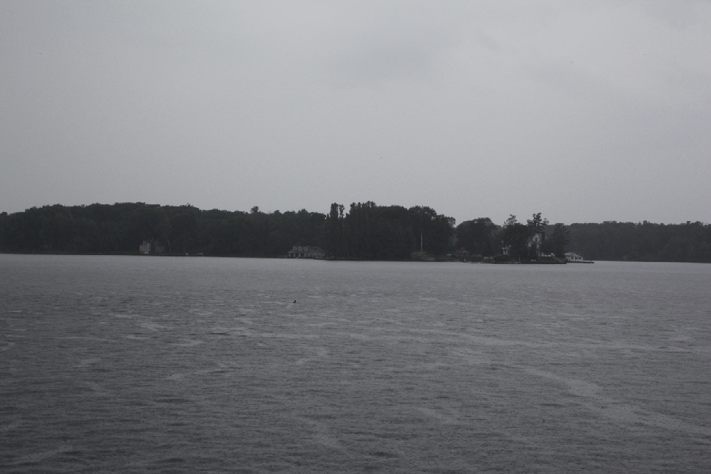 C5D_099726.JPG