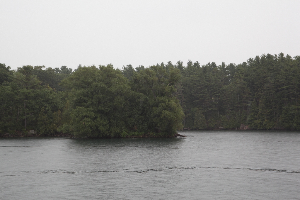 C5D_099728.JPG