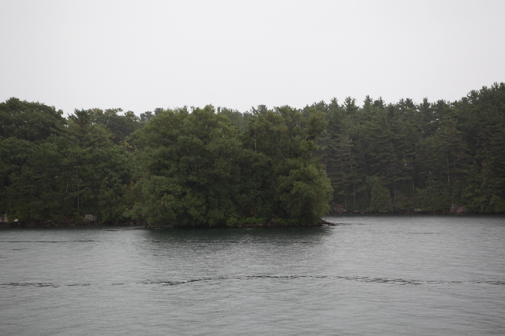 C5D_099729.JPG