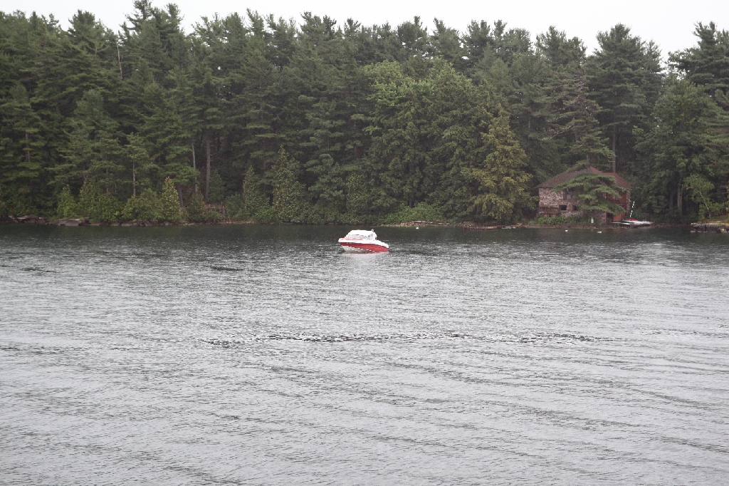 C5D_099731.JPG