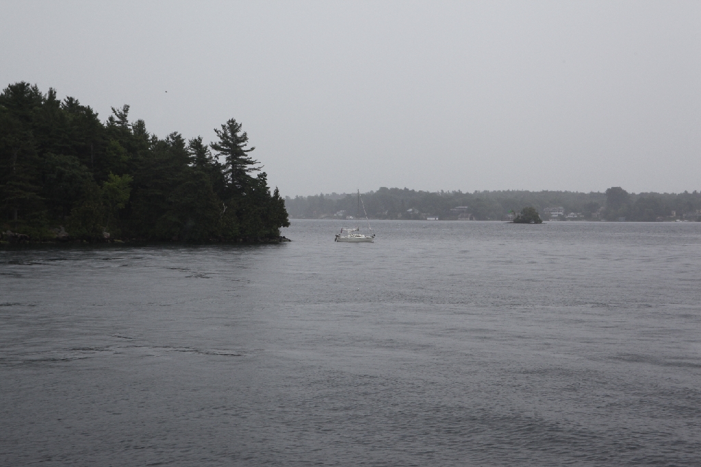 C5D_099735.JPG