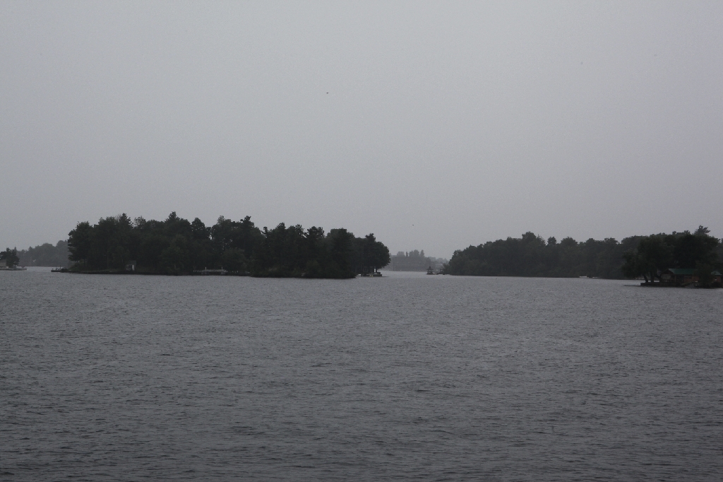 C5D_099736.JPG