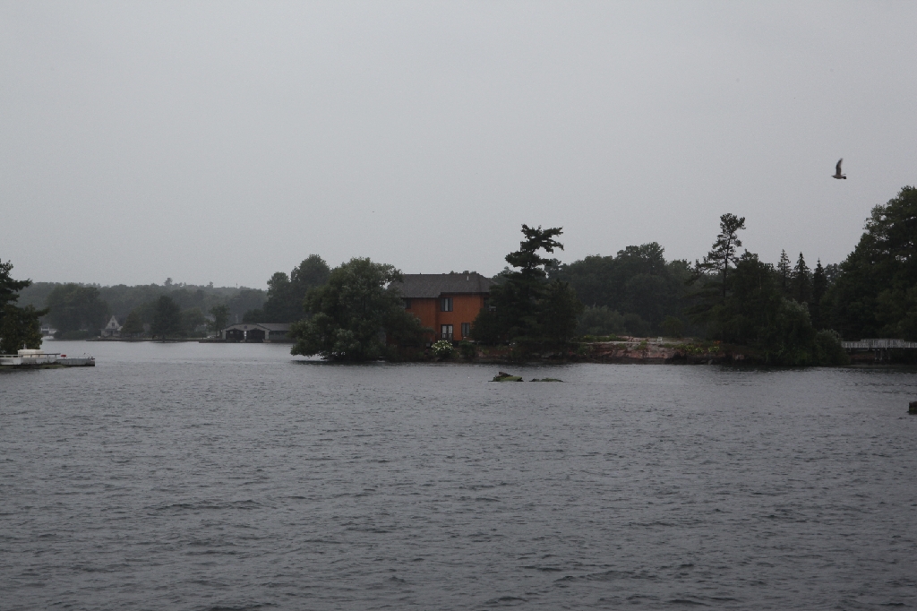 C5D_099749.JPG