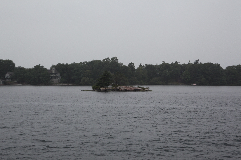 C5D_099752.JPG