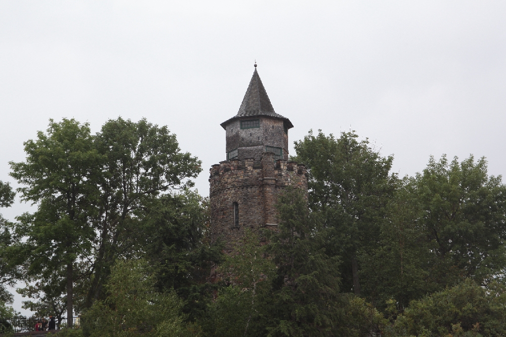C5D_099768.JPG