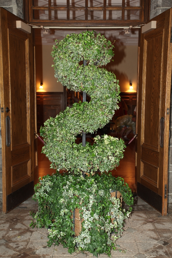 C5D_099778.JPG