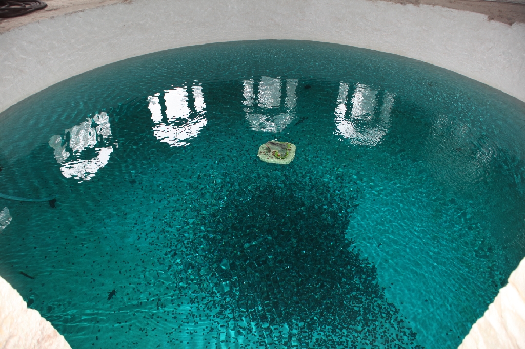 C5D_099797.JPG