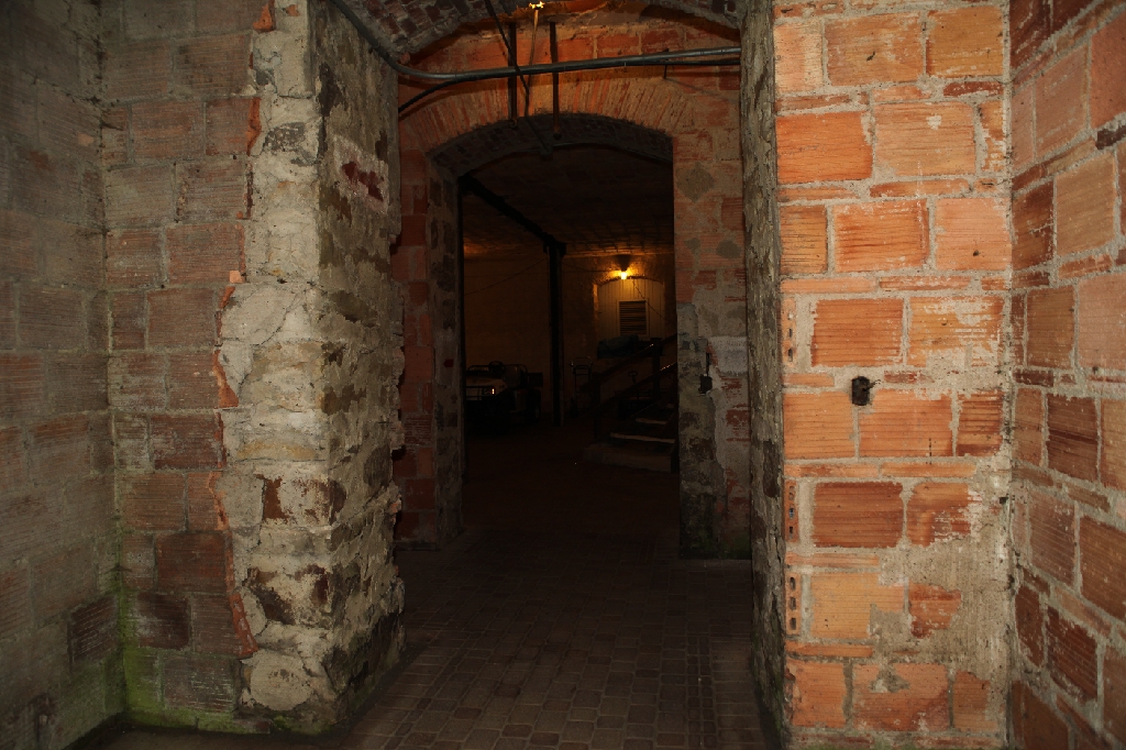 C5D_099799.JPG