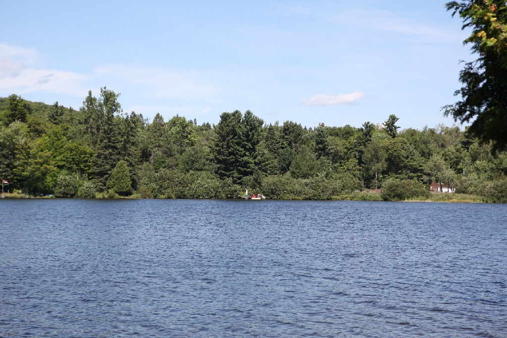 C5D_100219.JPG