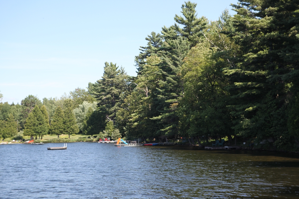 C5D_100222.JPG
