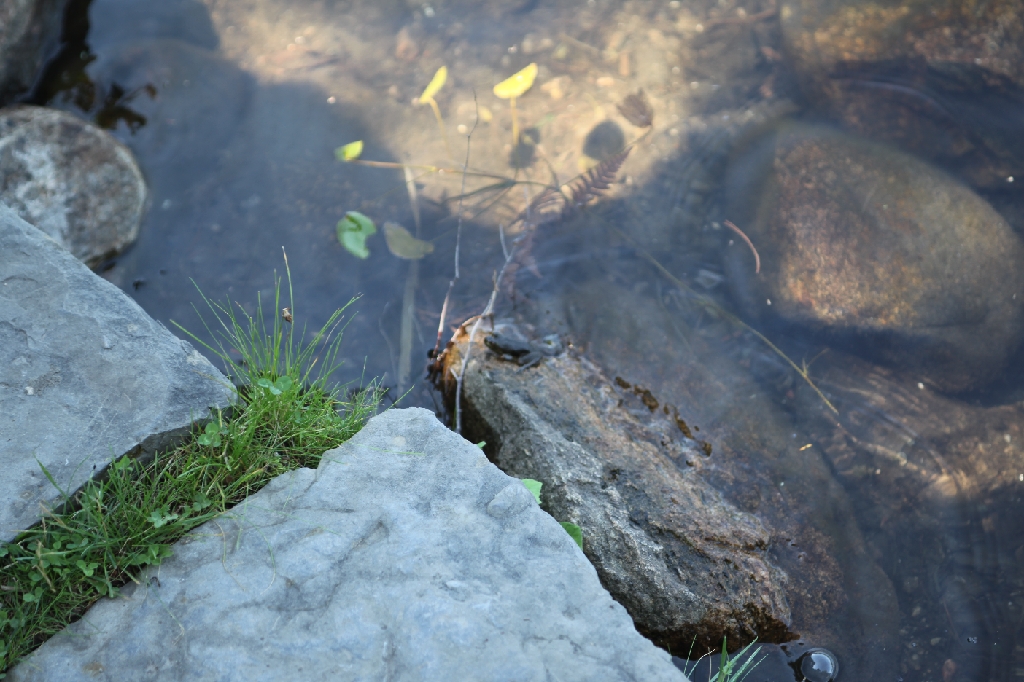 C5D_100226.JPG