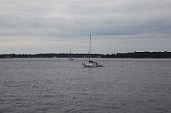 C5D_099684