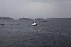 C5D_099698