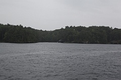 C5D_099705