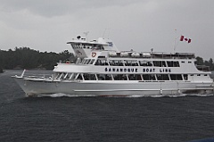 C5D_099709