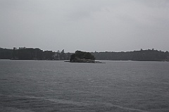 C5D_099724