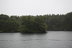 C5D_099729