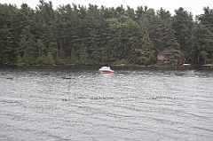 C5D_099731
