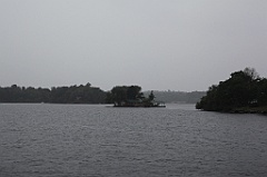 C5D_099739