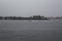 C5D_099758