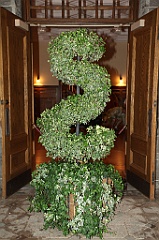 C5D_099778