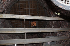 C5D_099790