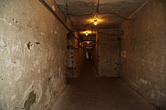 C5D_099795