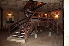 C5D_099800