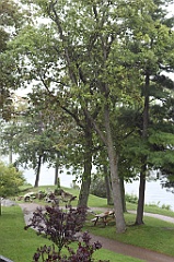 C5D_099823