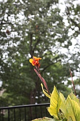 C5D_099826
