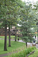 C5D_099830