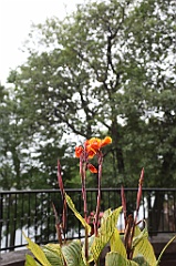 C5D_099833