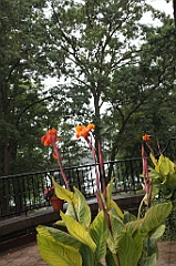 C5D_099834