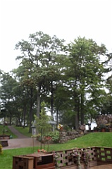 C5D_099841