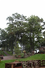 C5D_099842