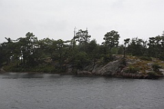 C5D_099843