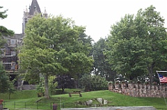 C5D_099858