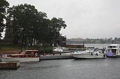 C5D_099865